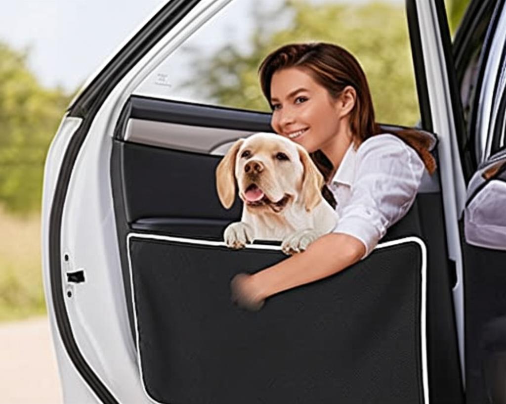 Happy pet owner with dog in a car, showing protected car door